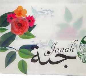 جنات مناديل مفردة 300 حبة