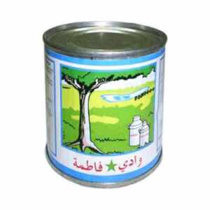 حليب وادي فاطمة 170 غ