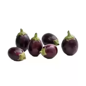 باذنجان صغير